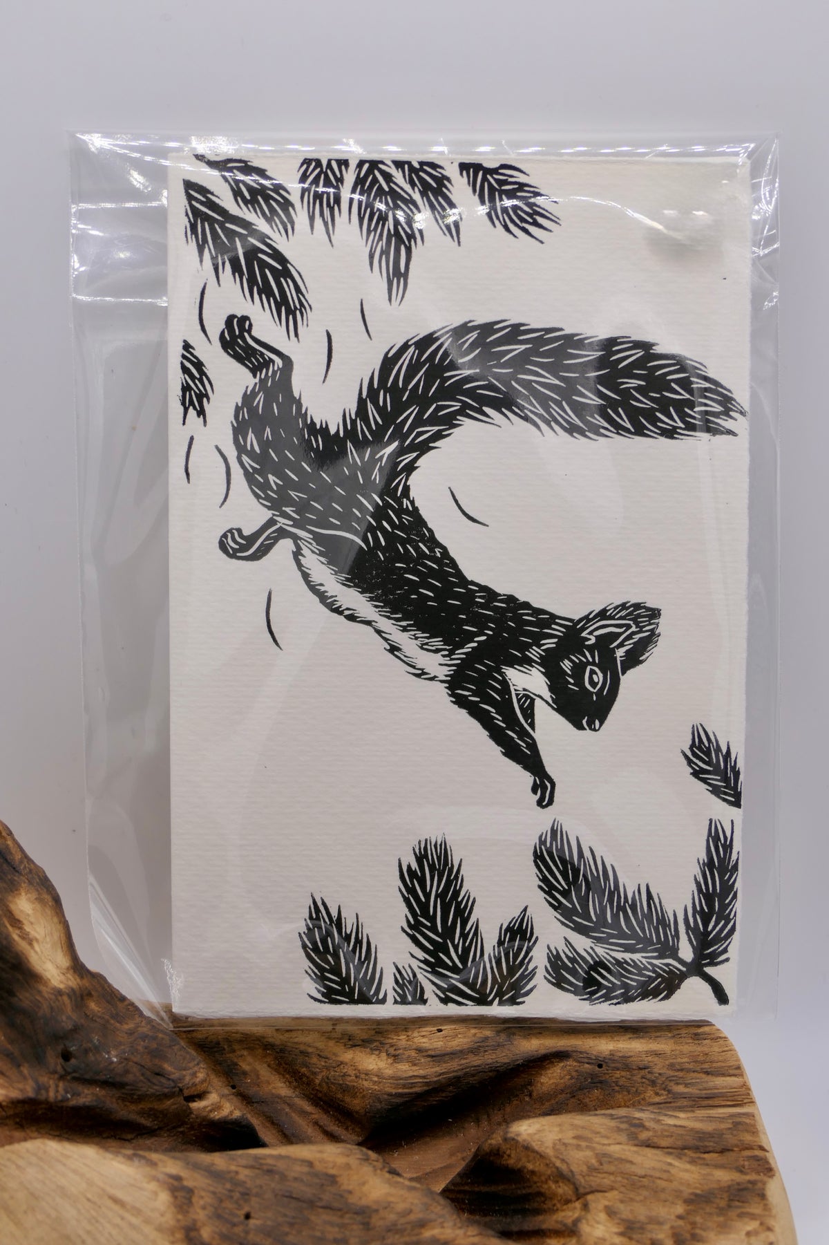 Squirrel | Greeting cards
