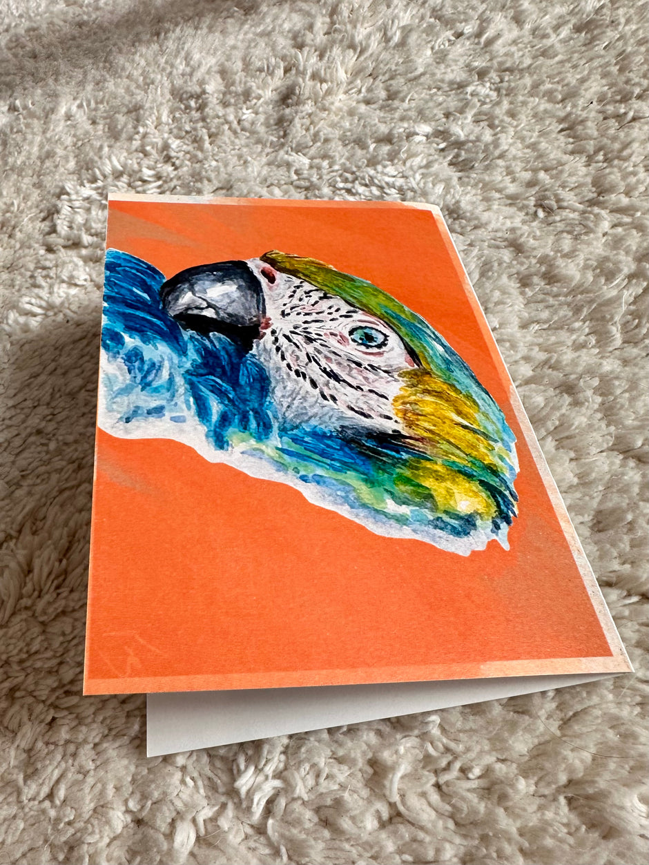 Parrot
