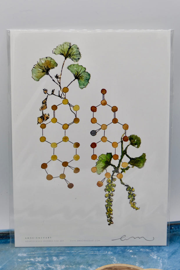 Estrogen & Testosterone Print
