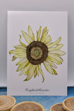 Evighedsblomster
