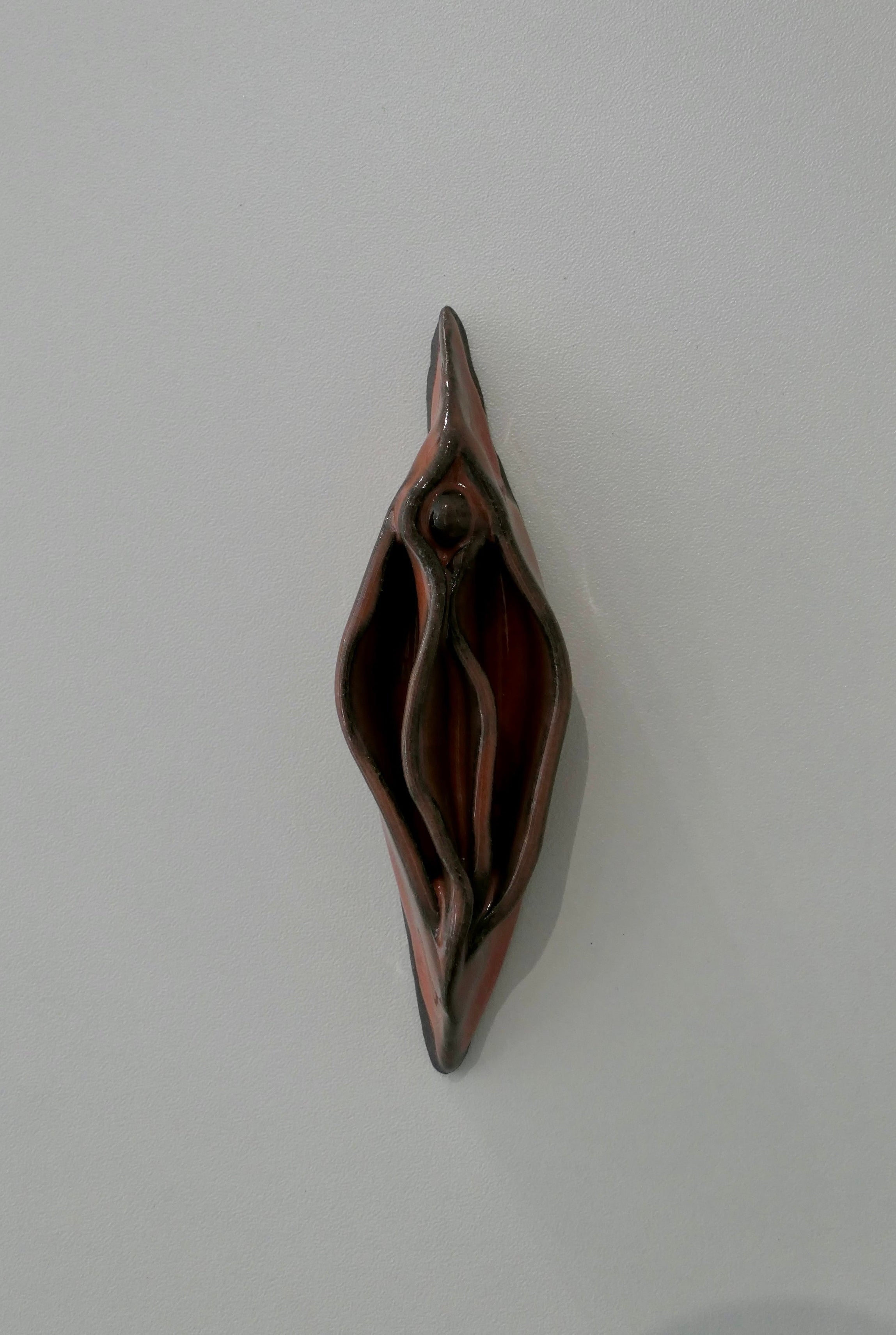 Dark red vulva