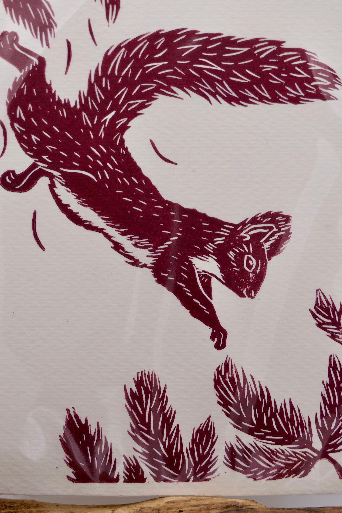 Squirrel | Greeting cards