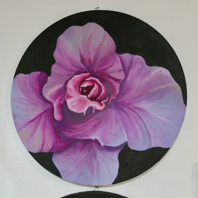 Vulva kål I