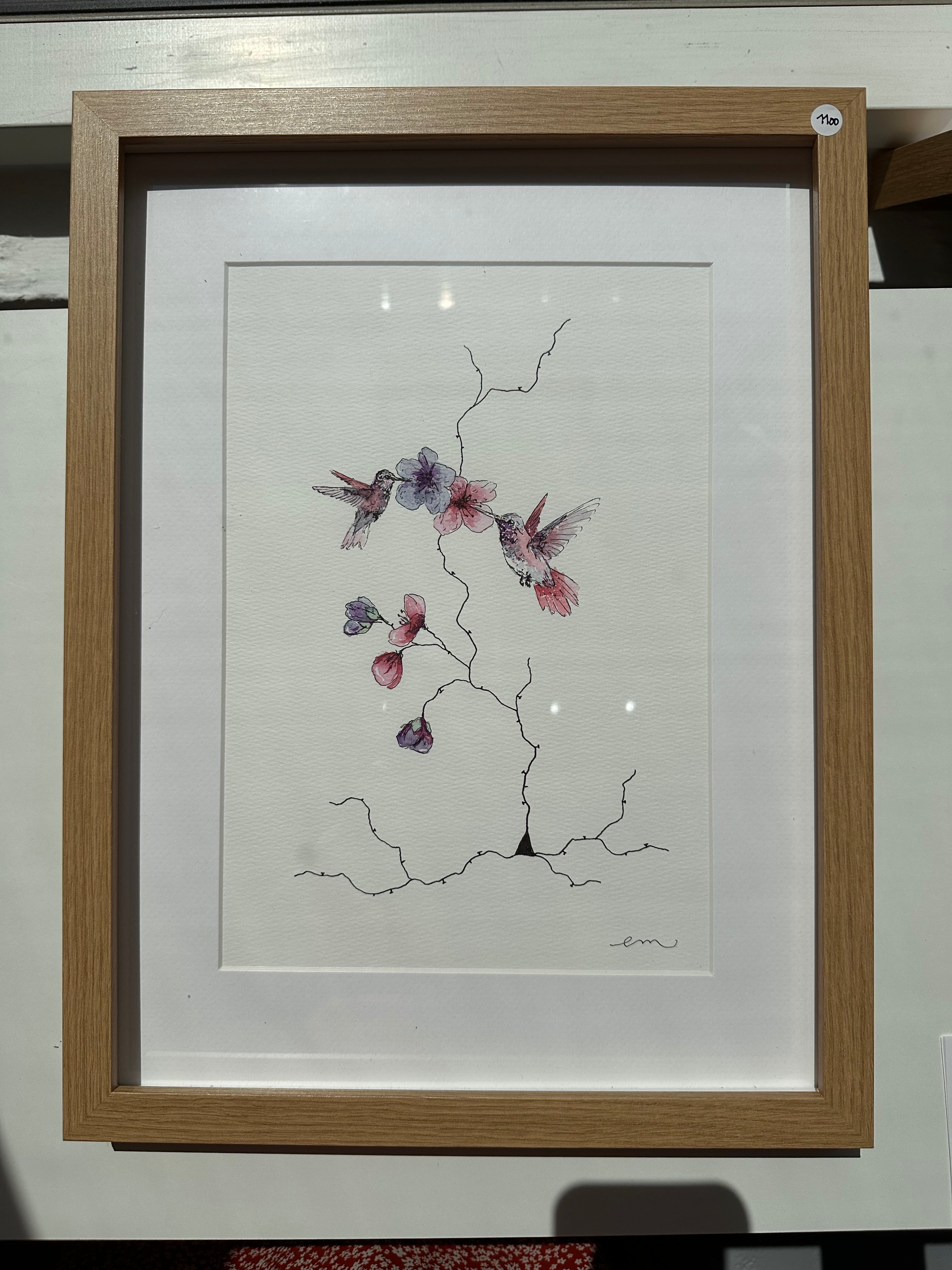 Birds | Neuronal dendrites and synapses
