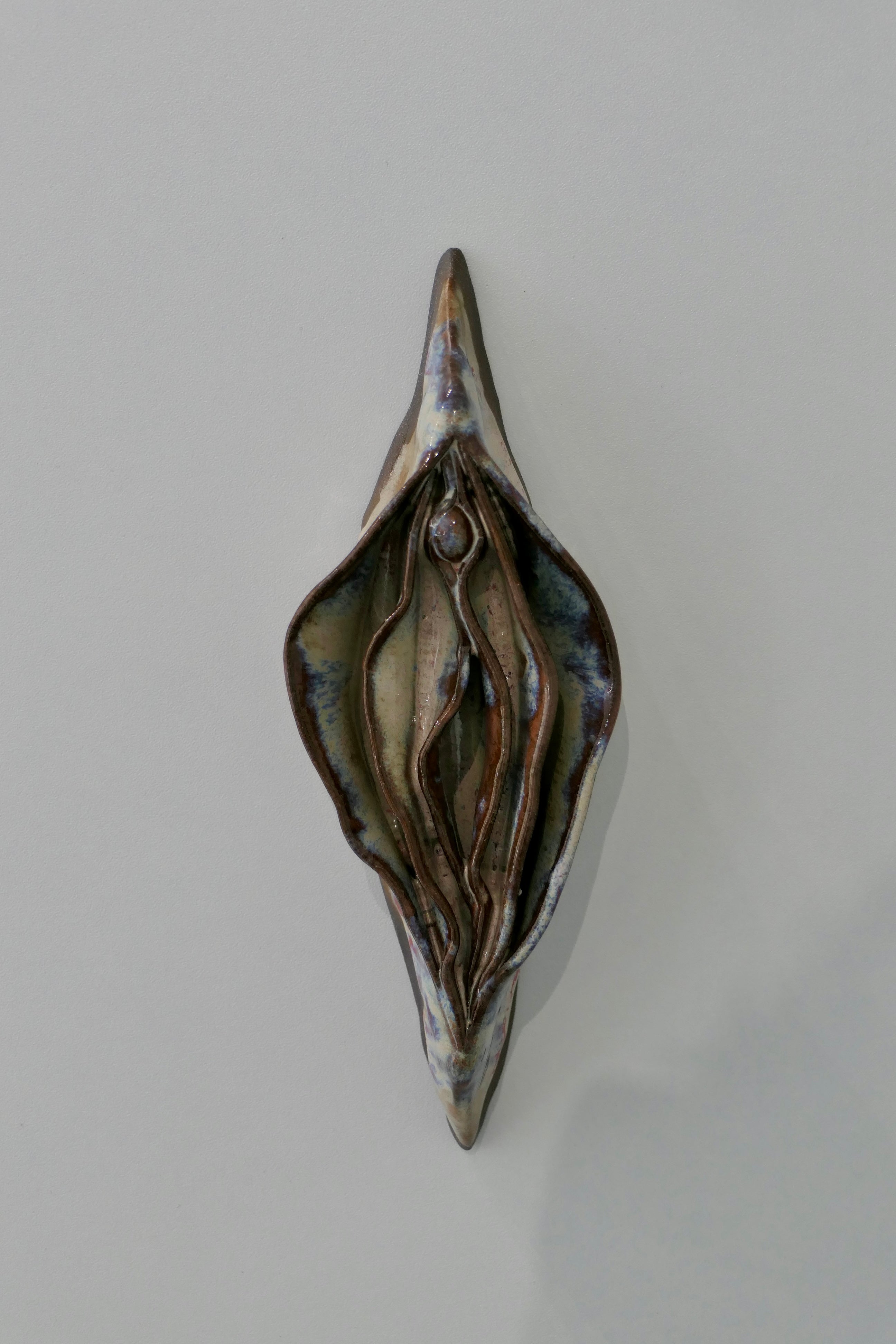Vulva