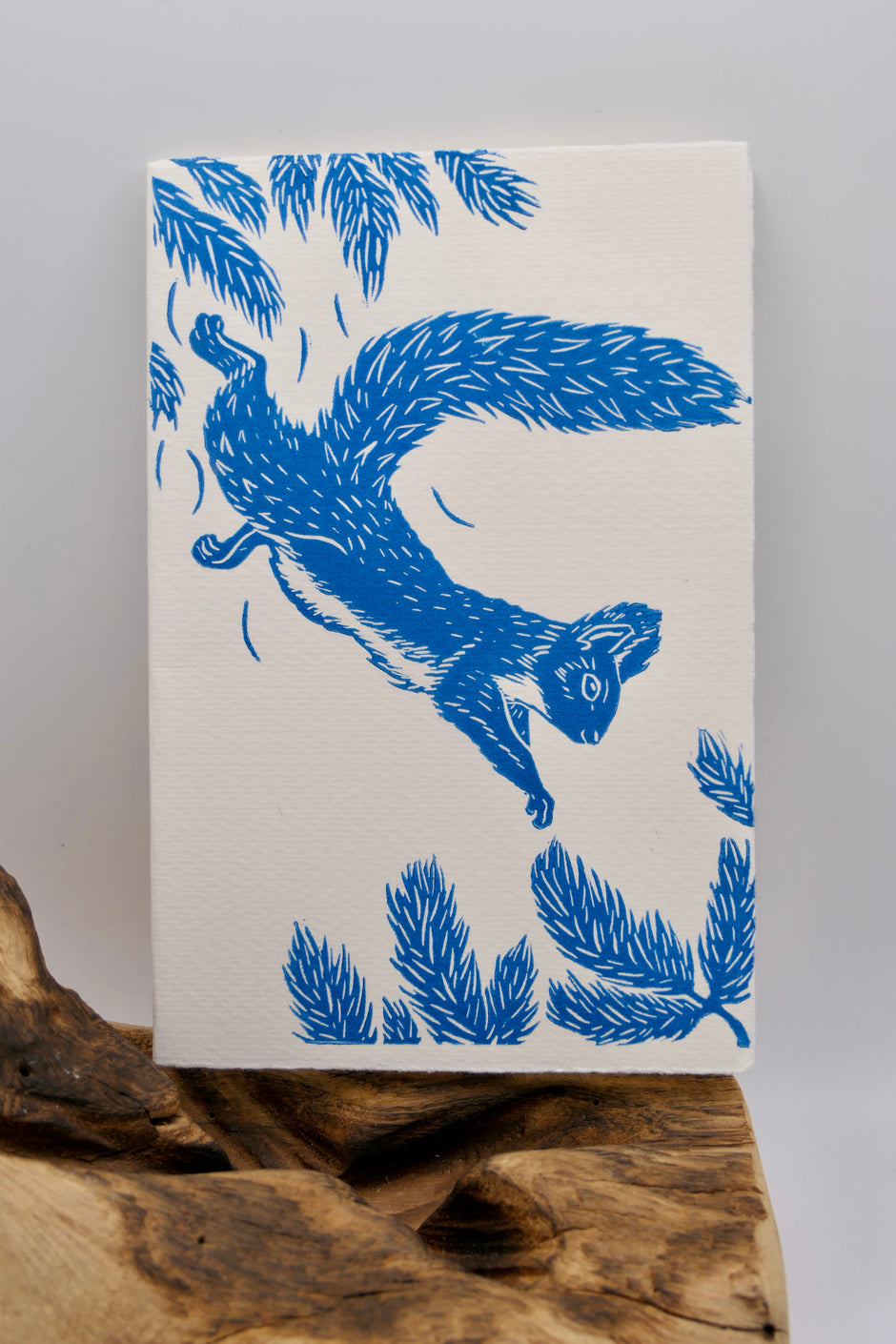 Squirrel | Greeting cards