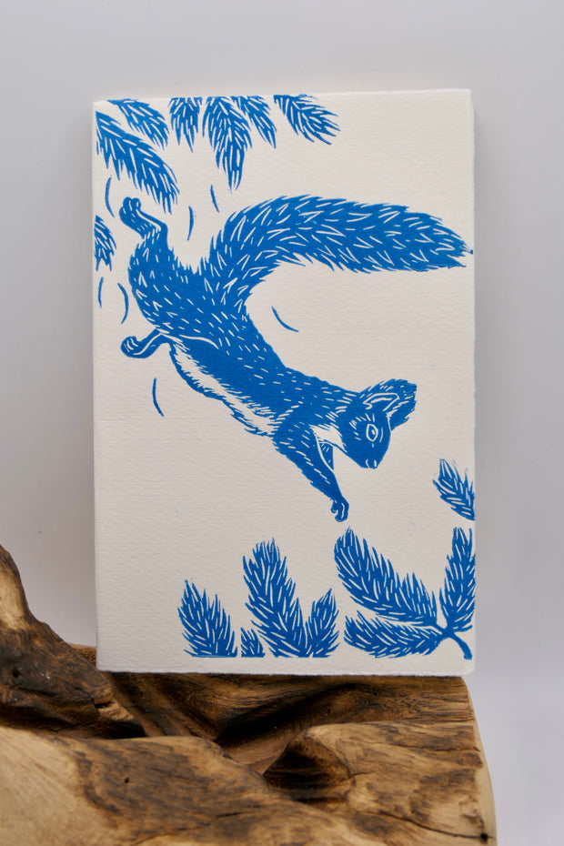 Squirrel | Greeting cards