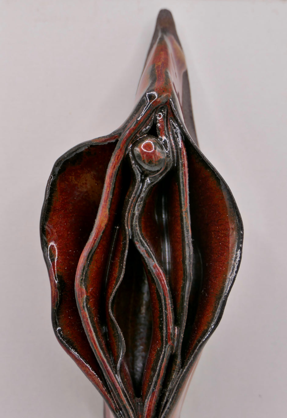 Dark vulva