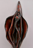 Dark vulva