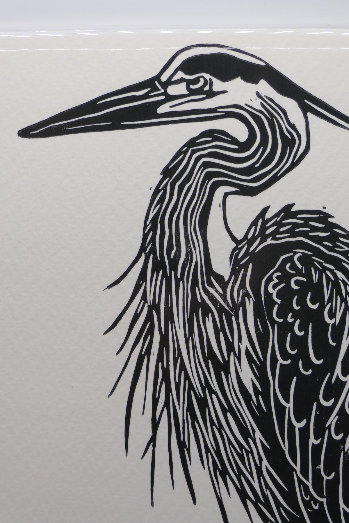 Heron