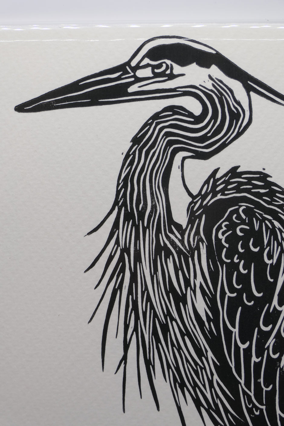 Heron