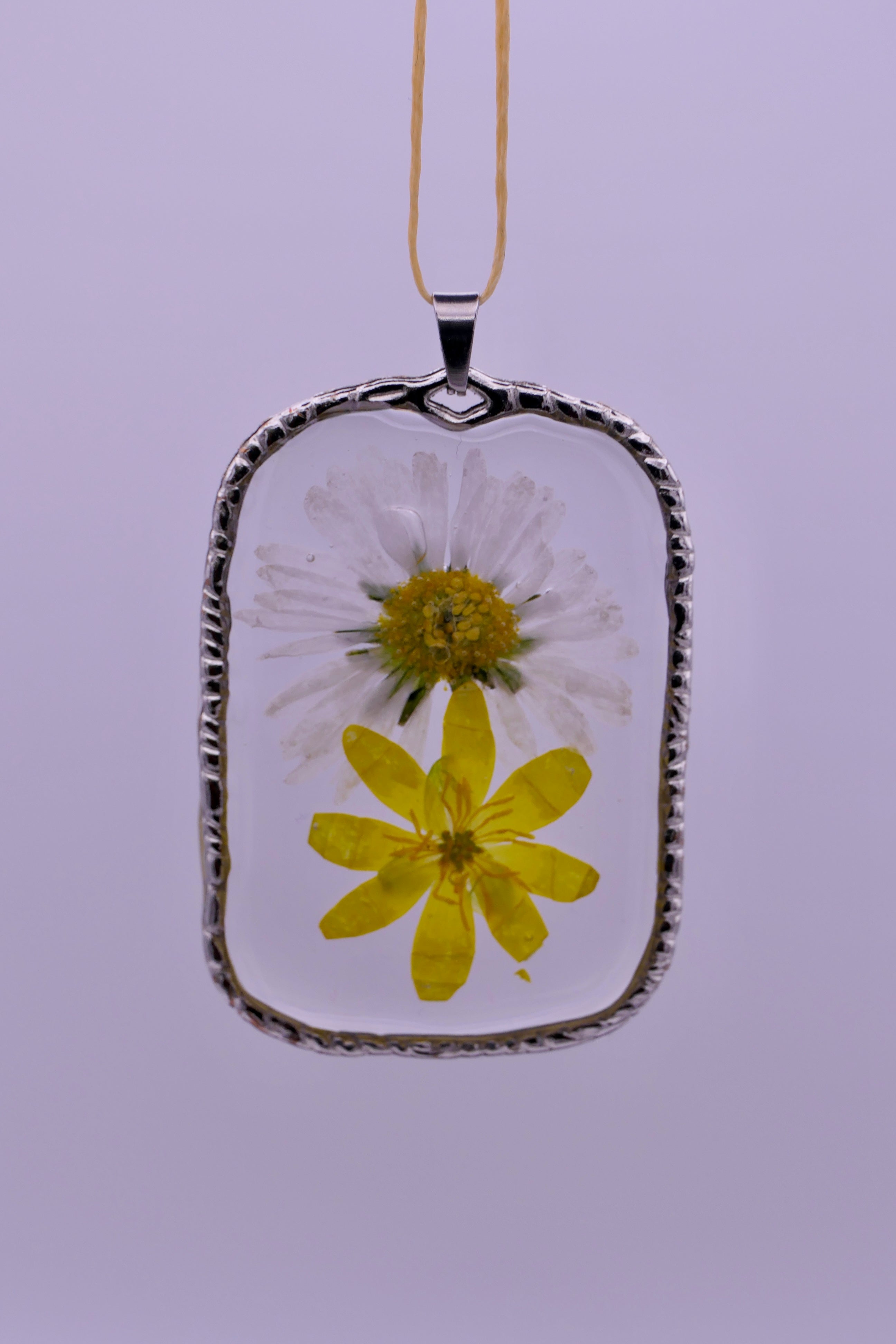 White daisies pendants