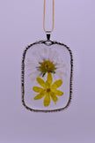White daisies pendants