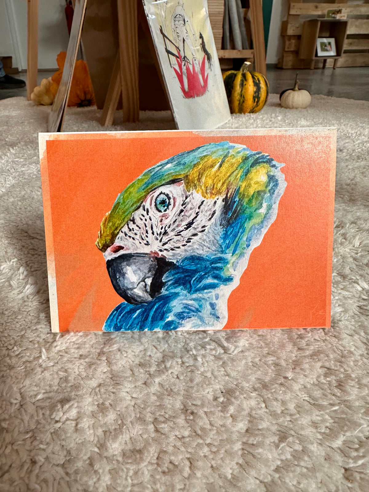 Parrot