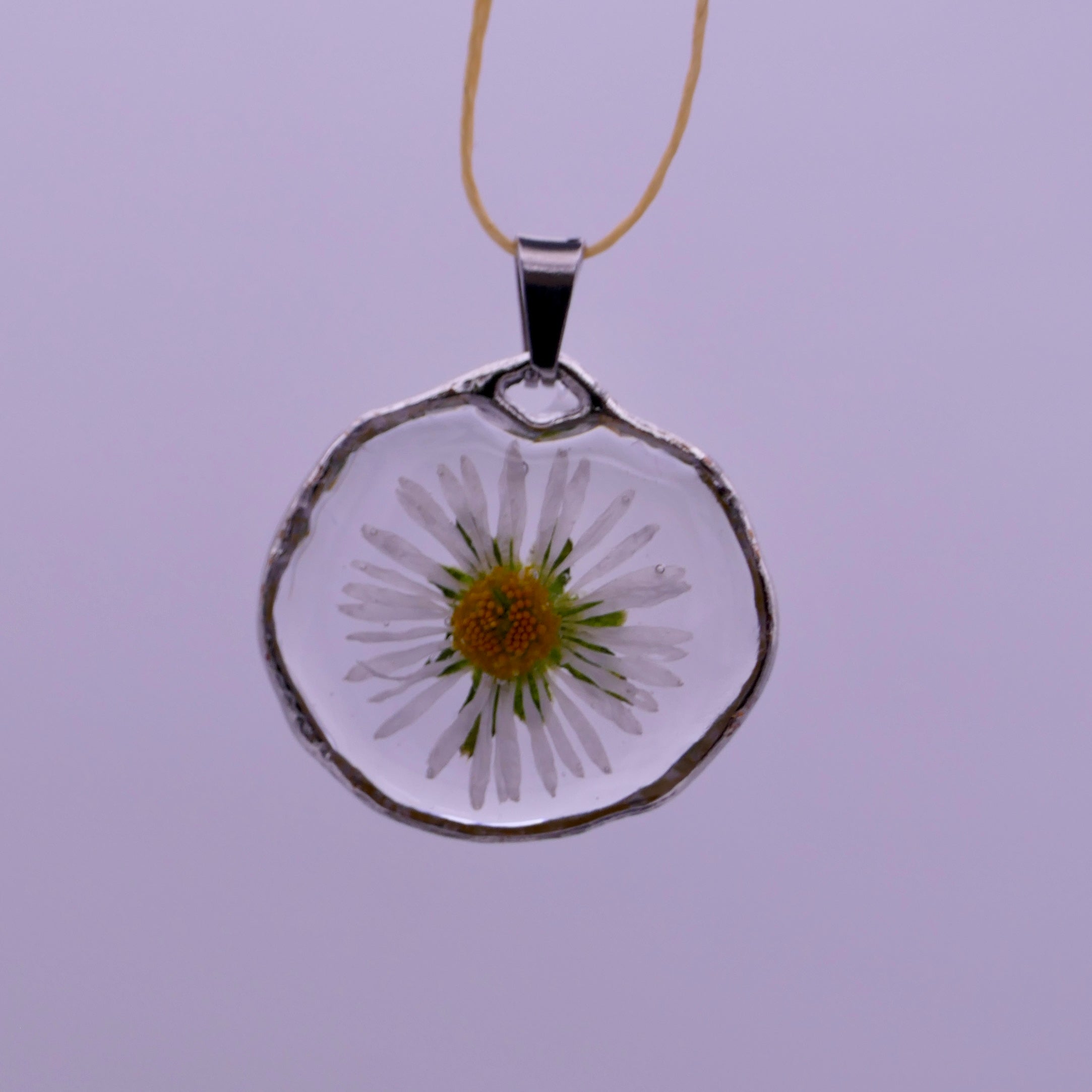 White daisies pendants