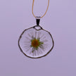 White daisies pendants