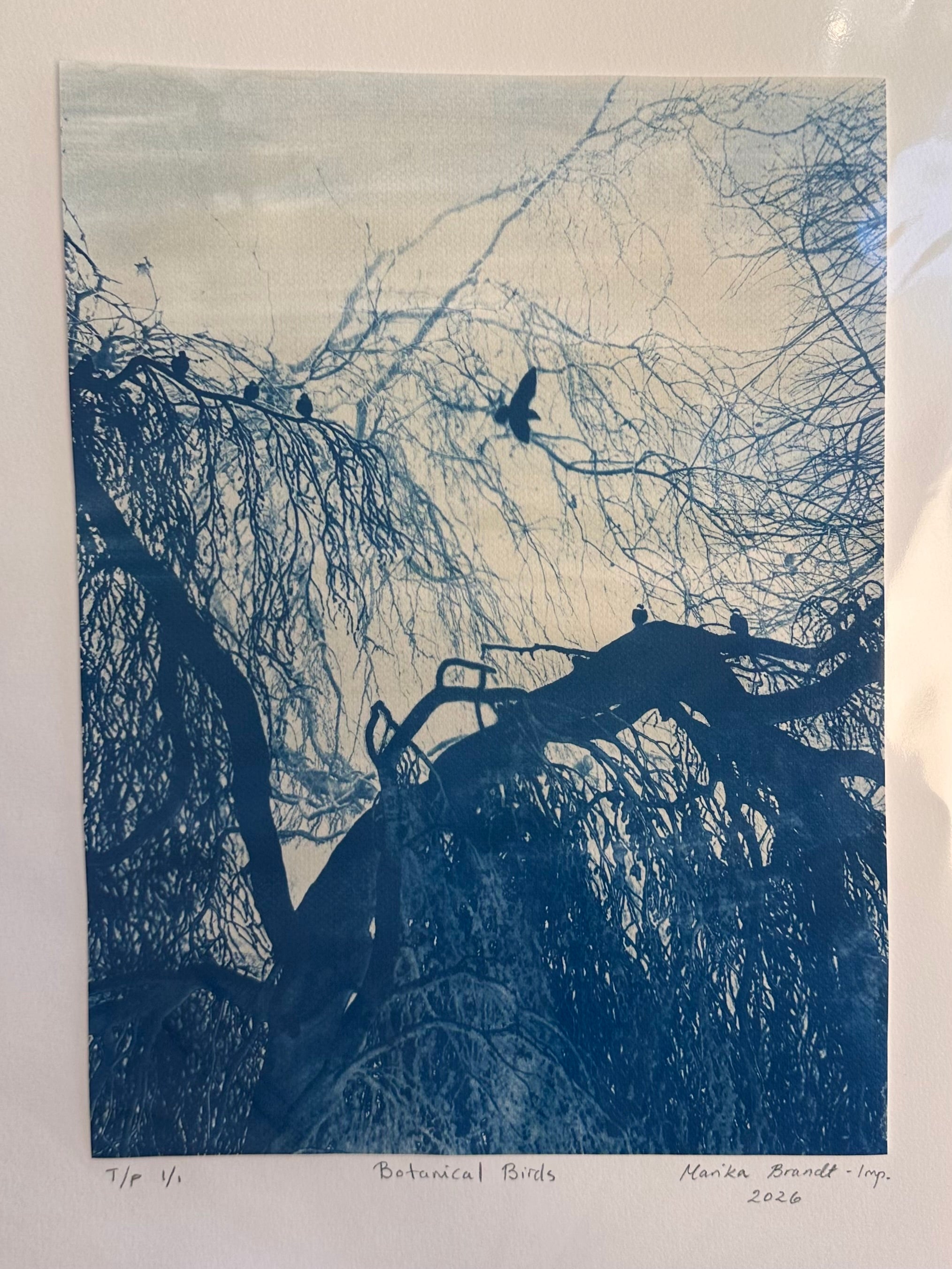 Botanical Birds
