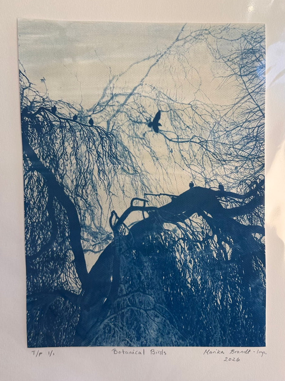 Botanical Birds