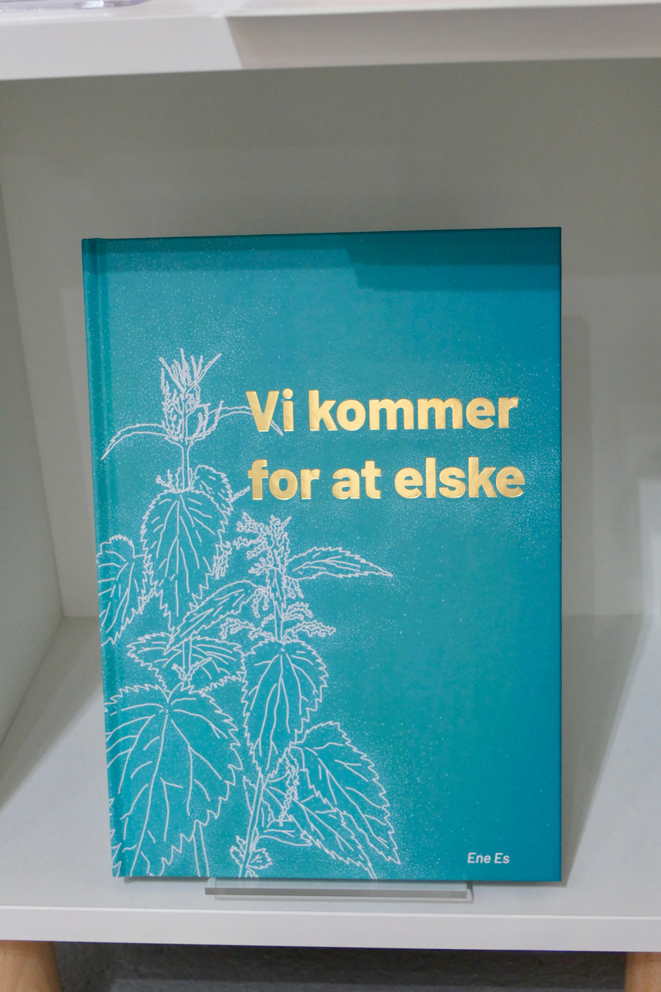 Vi komme for at elske