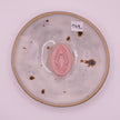 Vulva | Plate
