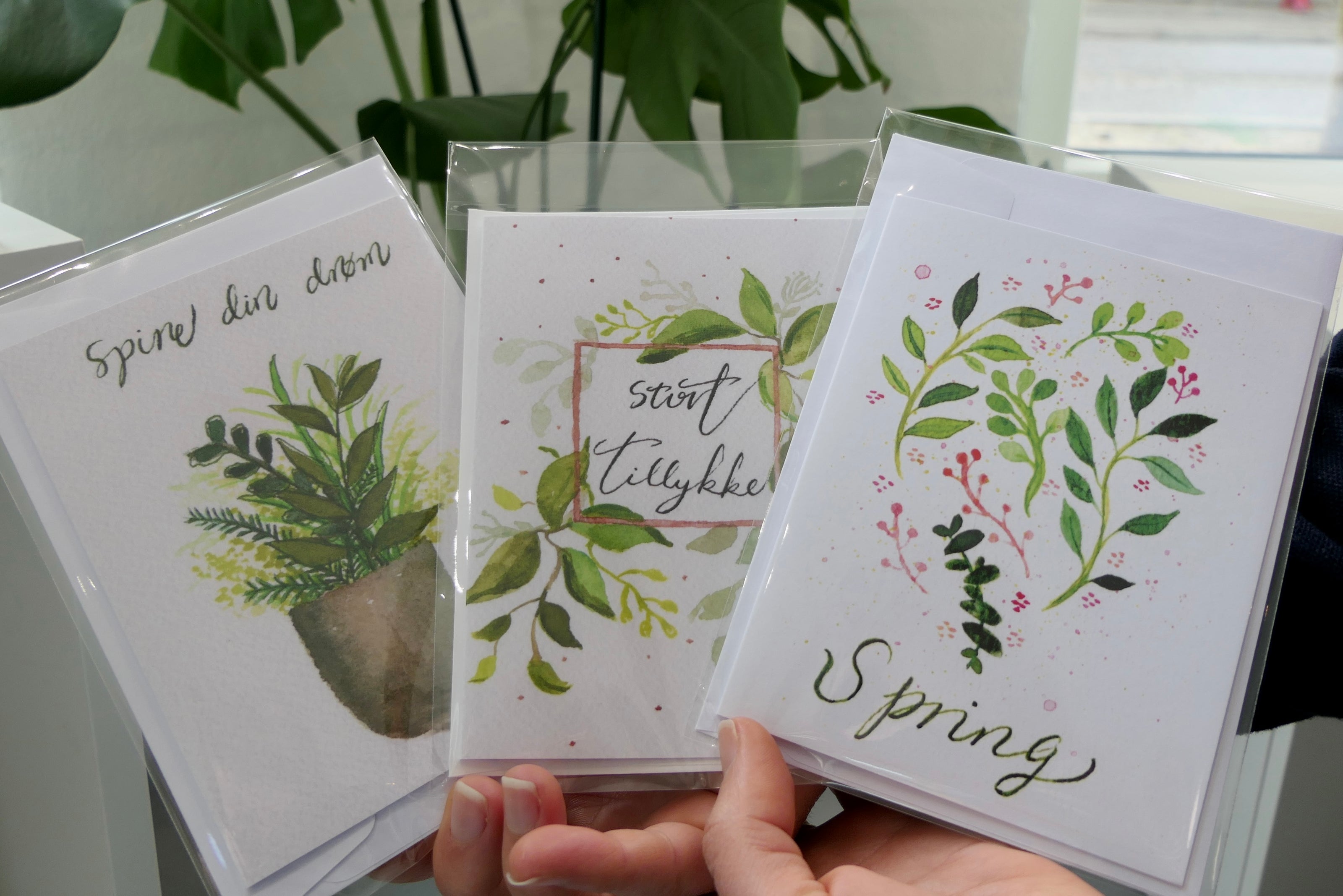 Spring
