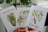 Spring