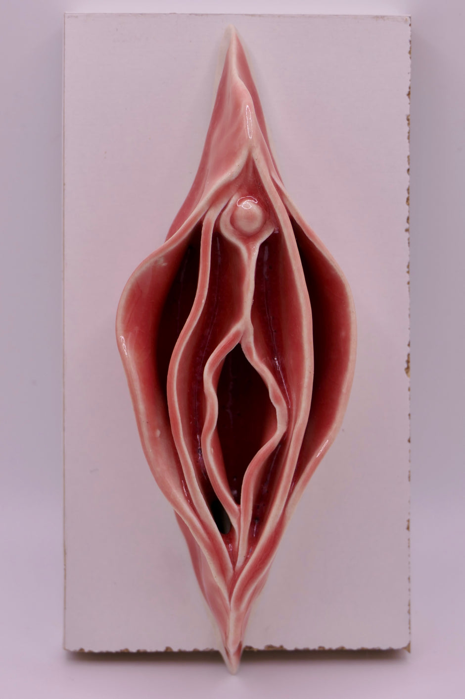 Peachy Vulva