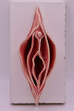 Peachy Vulva