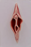 Peachy Vulva