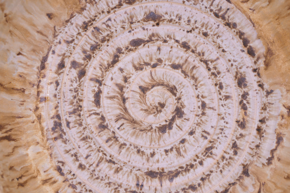 Spiral bowl