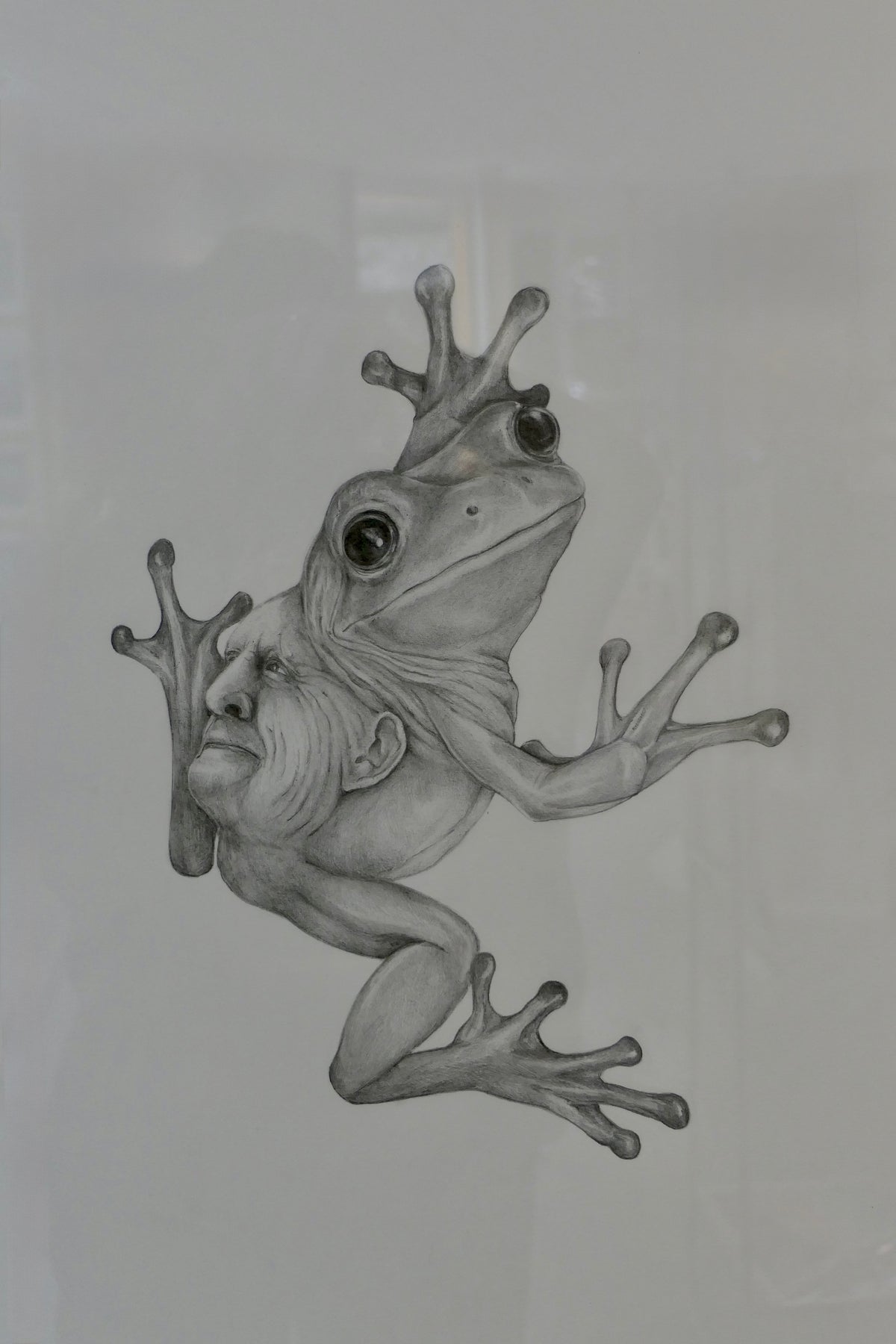 Janus frøer II
