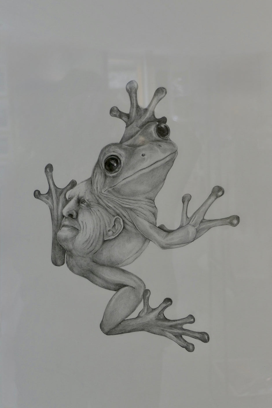 Janus frøer II