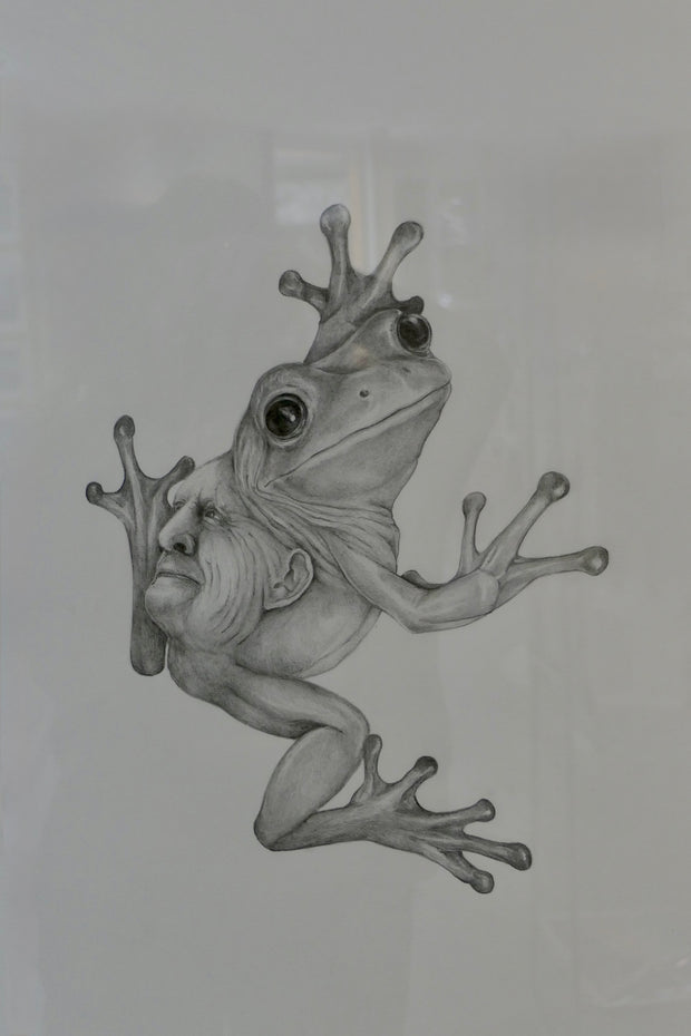 Janus frøer II