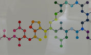 Oxytocin