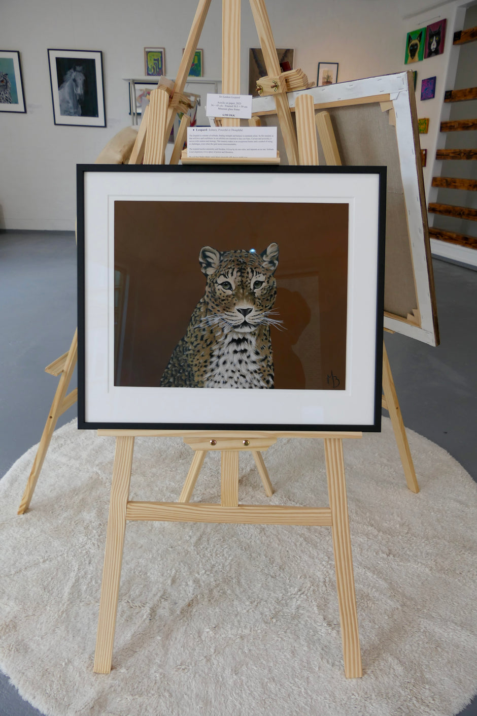 Srilankansk Leopard
