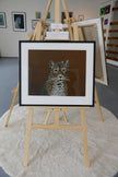 Srilankansk Leopard