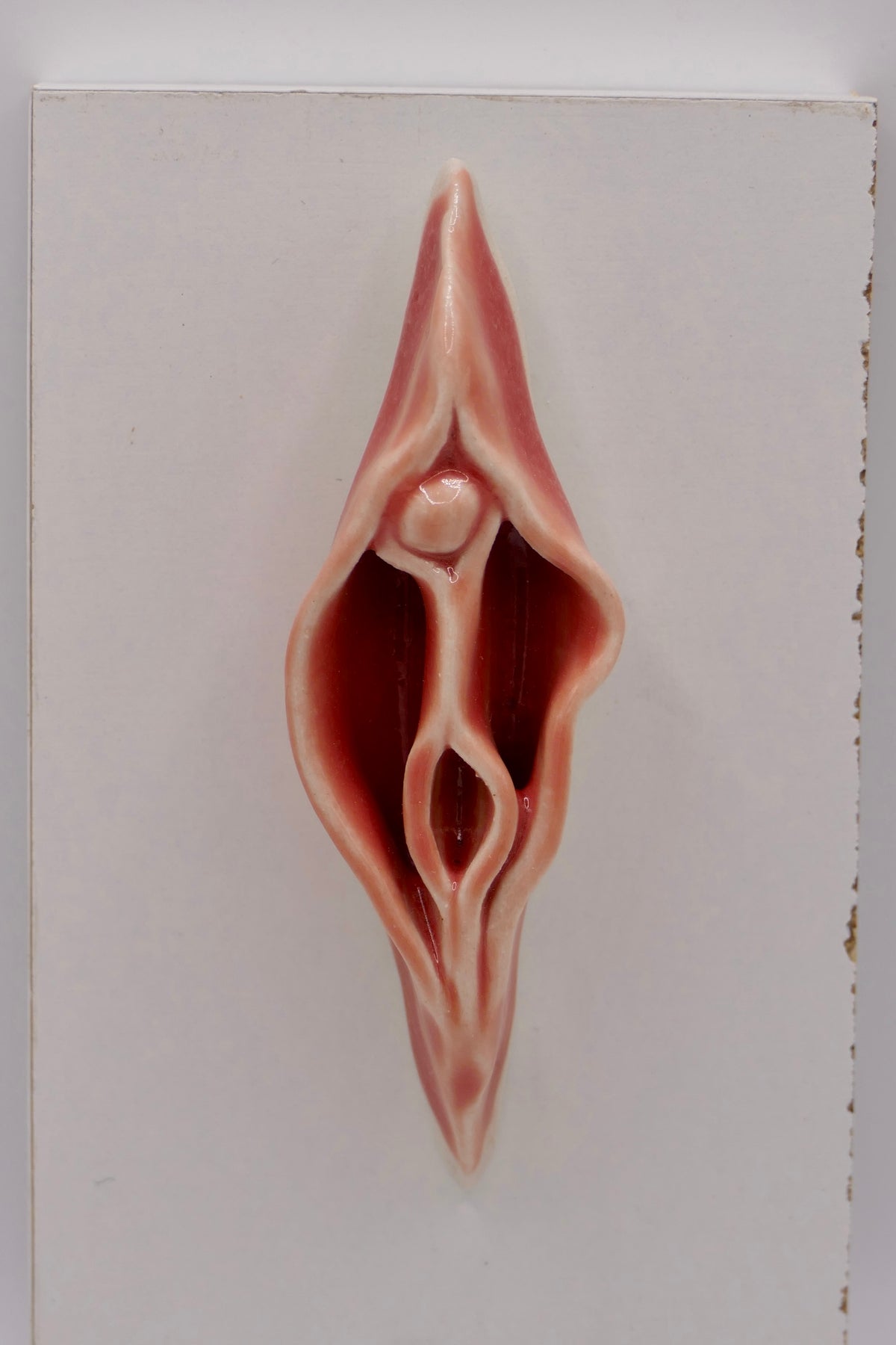 Peachy Vulva
