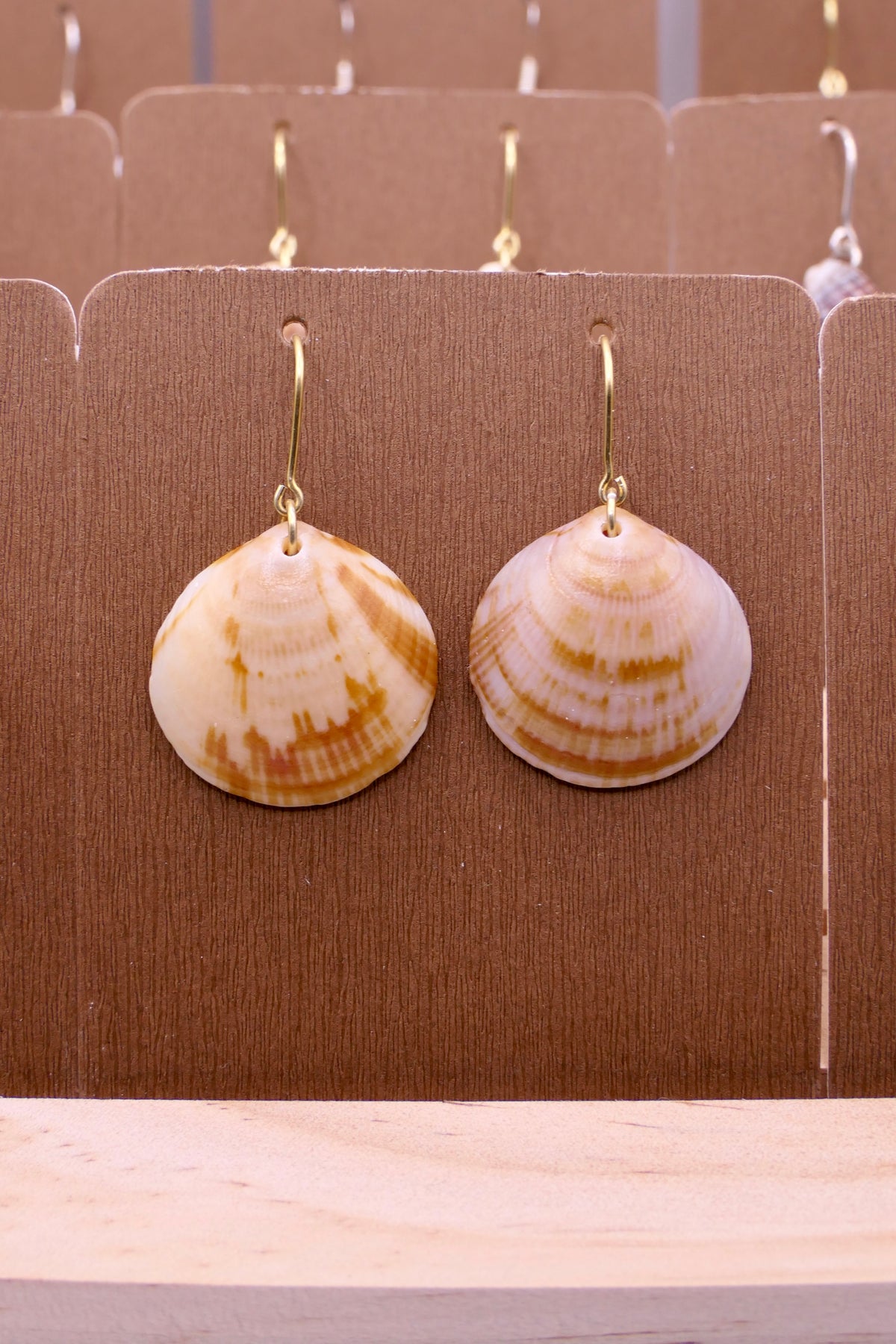 Seashell | Earrings