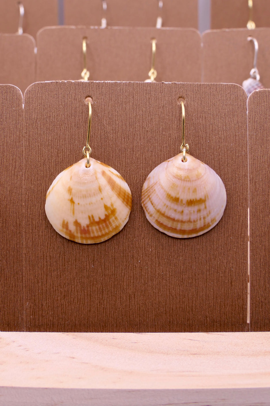 Seashell | Earrings