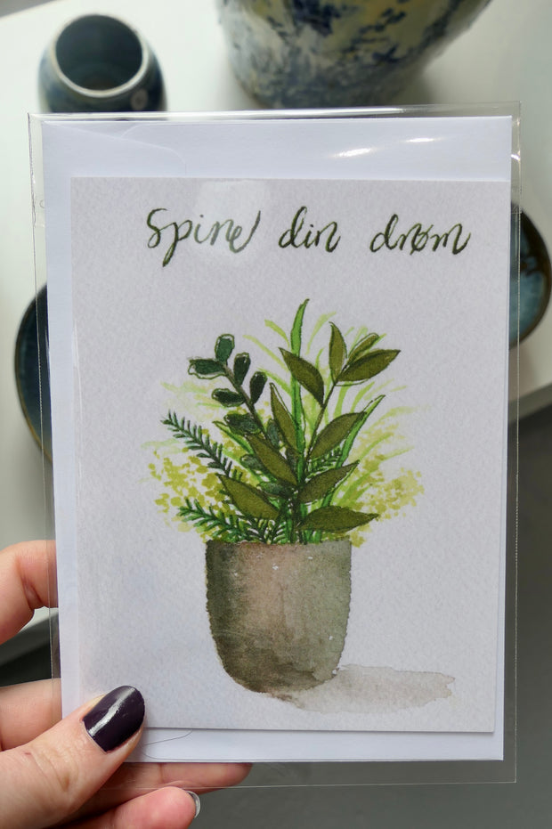 Spine din drøm