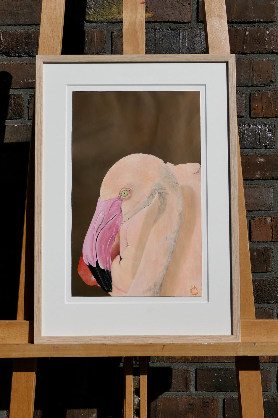Flamingo – Den Bolivianske Ørken