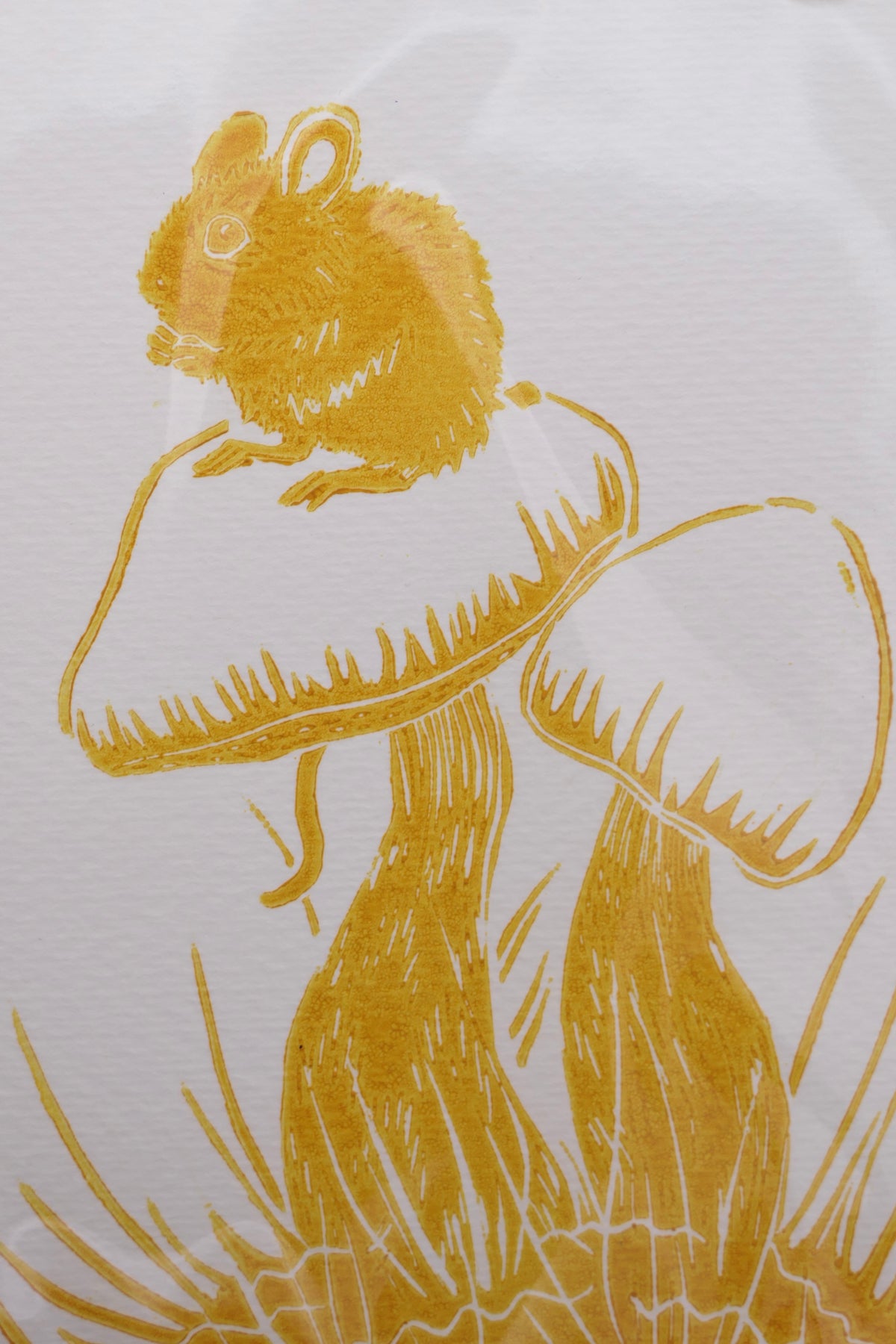 Mouse | Greeting cards