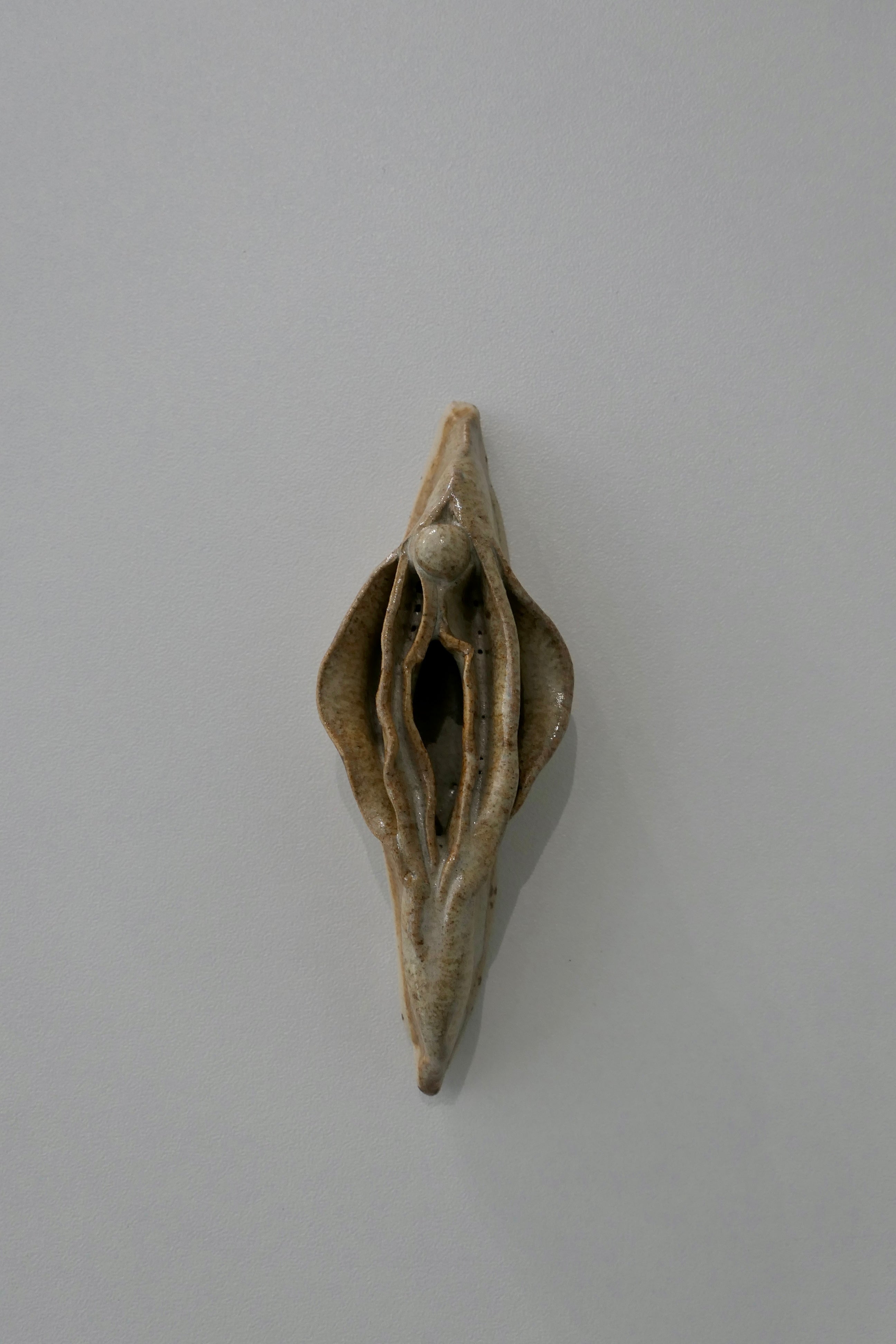 Sand-colored Vulva