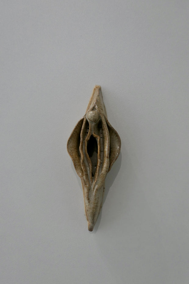 Sand-colored Vulva