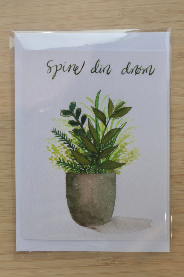 Spine din drøm