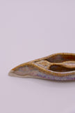 Beige Vulva