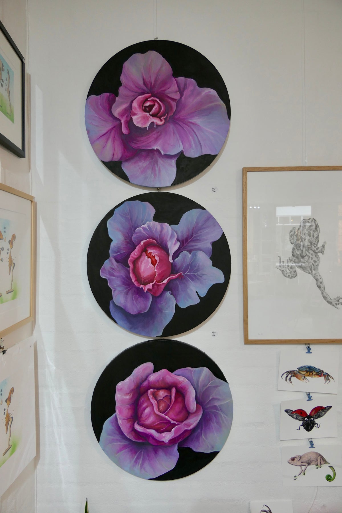 Vulva kål II