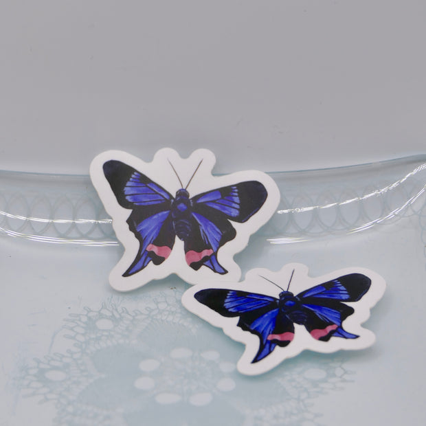 Butterfly sticker