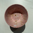 Pink standing bowl
