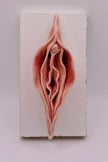Peachy Vulva